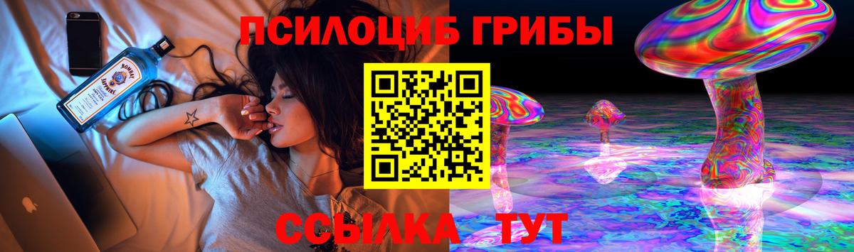 Псилоцибиновые грибы мицелий  Вход с VPN  Кизилюрт 