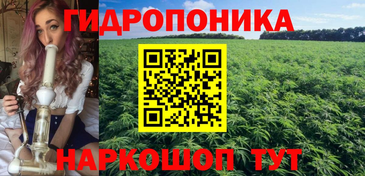 Бошки Шишки VHQ  Бошки марихуана ГИДРОПОН  Вход с VPN  Кизилюрт 